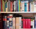 TEACHING LINGUISTICS (2008)